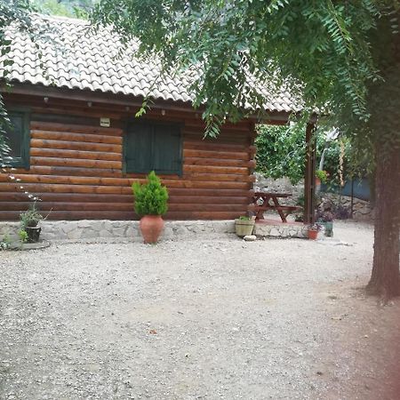 Cabana De Madera La Encina Burunchel Exterior photo