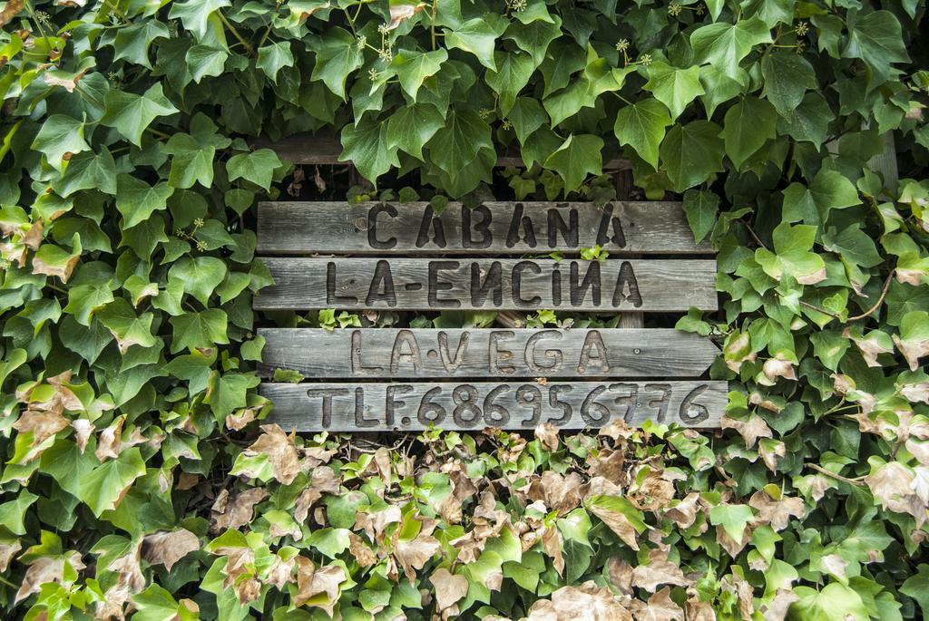Cabana De Madera La Encina Burunchel Exterior photo